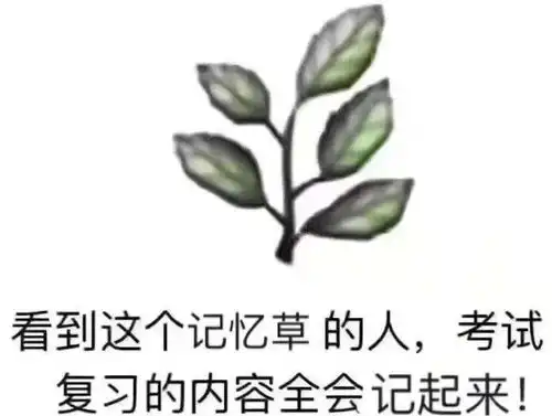  您的成绩单已送达