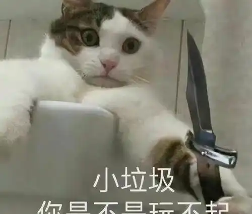  心口如一的几大直肠子星座,瞎说什么大实话