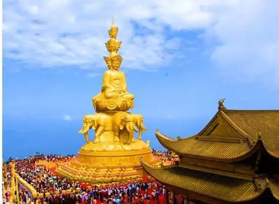  中国四川一物种泛滥,伤人事件一年超百起,为啥还要送到更多地方