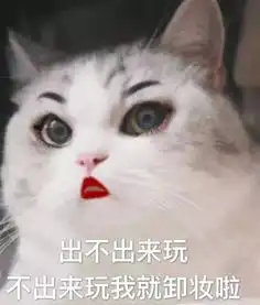  全新猫咪表情包,快快收藏