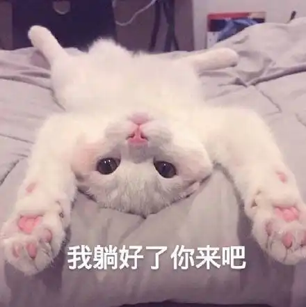 我已经躺好了表情包表情