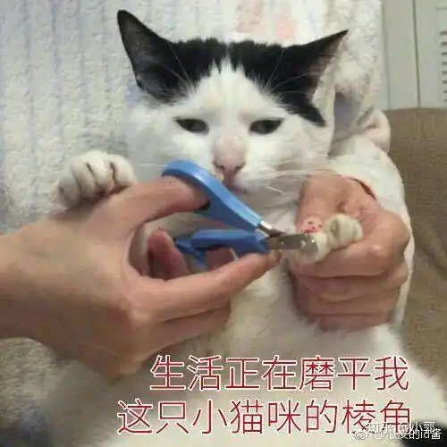  考研英语资料推荐