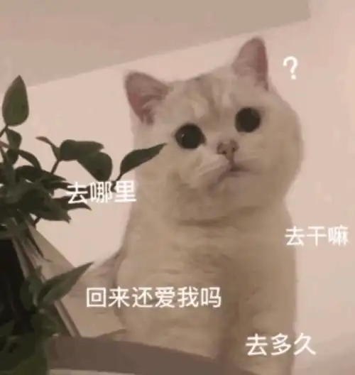  整理了一些日常文案