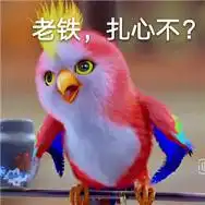  楚乔传苍梧鸟表情包带字精选楚乔传小鹦鹉表情包超萌