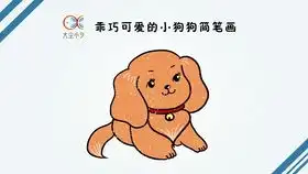  头上长草的狗狗,好可爱哈哈