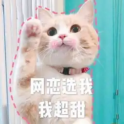 网恋选我我超甜表情包网