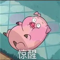  见过那么多猪,还是你最可爱