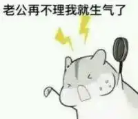  小仓鼠爱老公版本表情下载小仓鼠爱老公版本表情官方下载