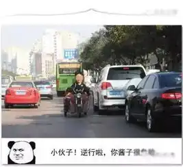 违章表情包交警