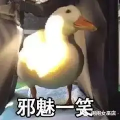 表情包鸭鸭导数