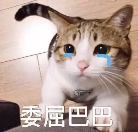 huh猫表情包动图考研