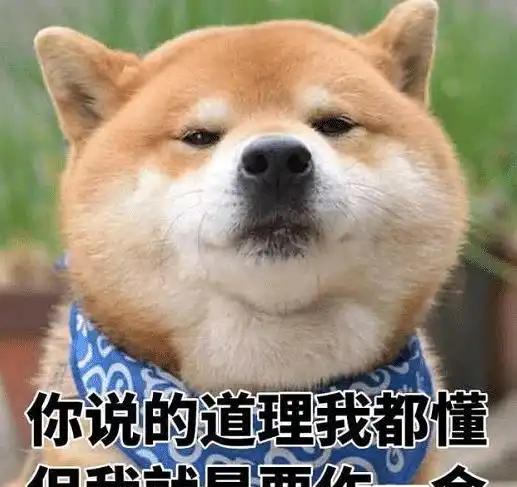  网恋奔现,女生110斤是这样的吗哈哈这应该是个重量级选手