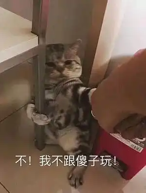 小租心丨室友想搬走,然后我碰到了淡季,呜呜呜