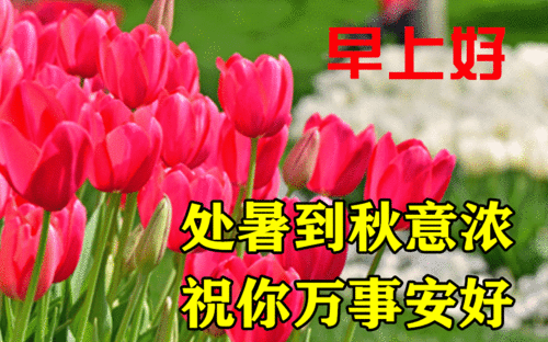  处暑早上好问候祝福动画表情图片包处暑节气早安问候祝福语动态图片表情精选