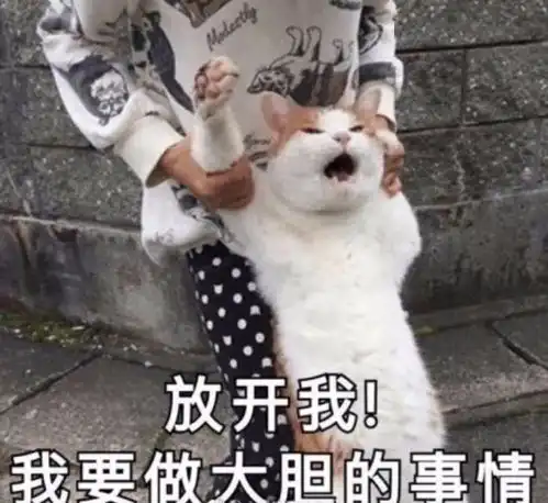 今日表情推荐,72