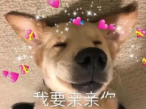  情侣头像vs单身头像