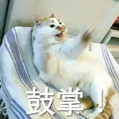  表情sir来吧,我躺好了
