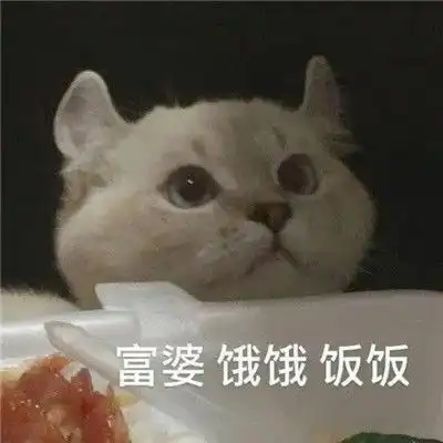  2022年很有趣的沙雕聊天表情大全