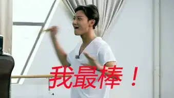  路转粉wuli表情包黄子韬真的有毒