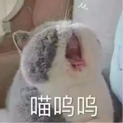 佛冷表情包河儿口镇