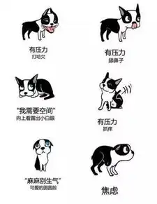  看图说话狗狗是如何表达喜怒哀乐的