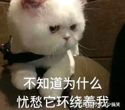 搞笑段子大爷,您究竟有多少个孩子搞笑的大爷笑话
