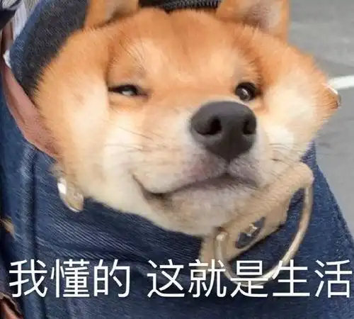 沙雕表情包配文放假