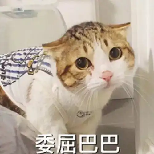  考前救援,这几点都记到心里去,不准二战
