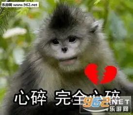  笑容逐渐凝固猴子图片我这一jio下去你可能会死猴子表情包下载乐游网游戏下载