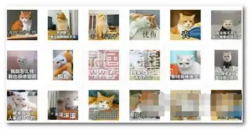  忧伤猫表情包忧伤猫带字图片大全无水印版软件下载