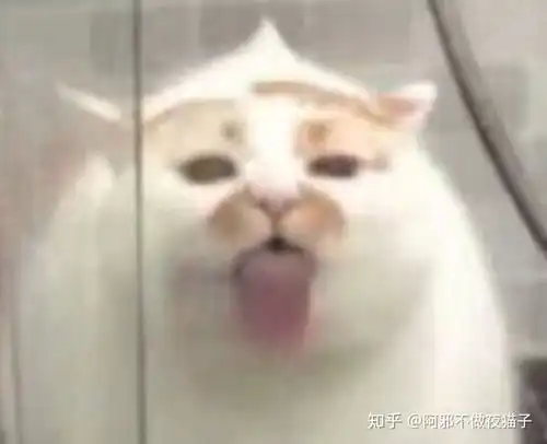  有哪些可爱又不失歹毒的表情包