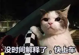  拯救母胎单身,最深撩妹表白套路秘籍