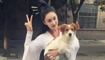  张馨予表态文明养狗,从我做起,办狗证牵狗绳,请广大网友监督