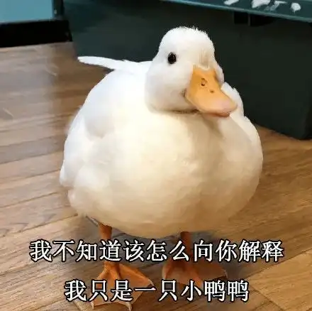  惊了华师居然停止这类招生