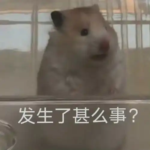  e句话看天下丨王力宏回应了又好像没回应