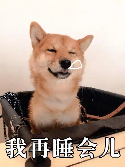 猫屎的表情包柴犬