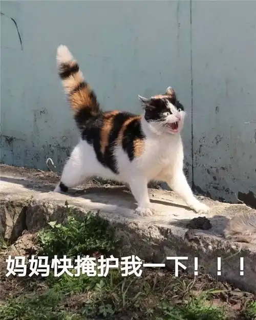  儿童心理咨询内向的小孩,都应该去死一死吗