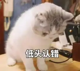  教师节那些年老师们的经典语录,还有写给老师的三行情书