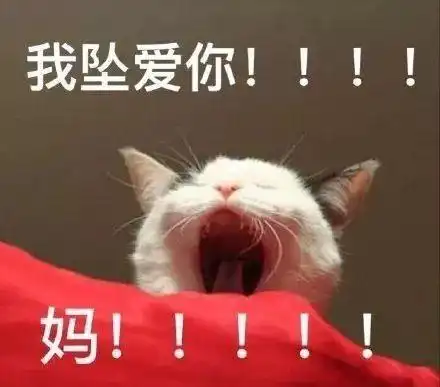  有那些和父母聊天时能用的表情包