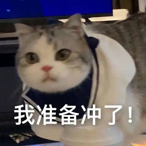 贝拉表情包够了