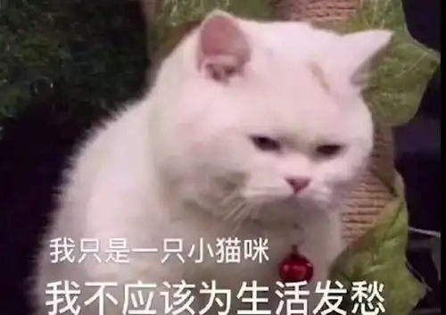 2019新年快乐表情包汤明磊