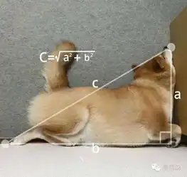  每日一蠢萌明天就要上学上班了,送个表情给你们