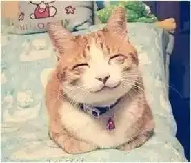  据说这是妈妈一天表情包大全简直太形象了各位请对照