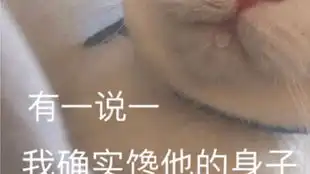 我确实是个直男表情包沙