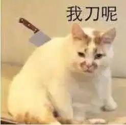  聊天搞笑表情包有钱居然能这样