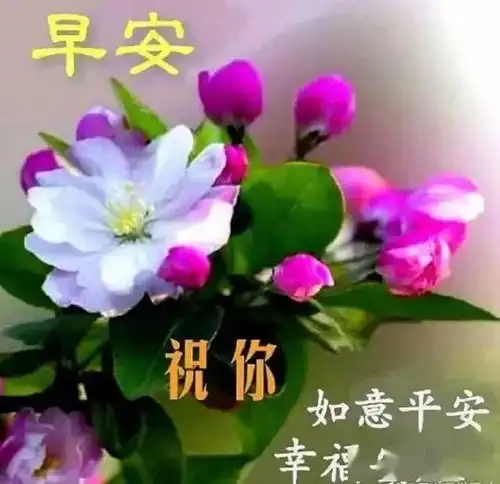  6月1日问候大家早上好动图表情美女2020清晨祝福早上好问候语