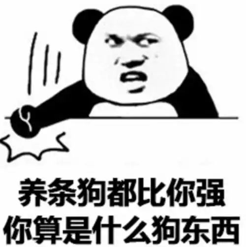  日常表情包别问问就是直男