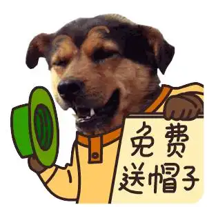  辣眼睛男子深夜连偷3个充气娃娃头上戴着...被抓后一句话笑炸网友