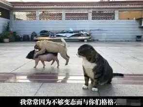  林更新喜欢我的人都不是少女了,粉丝脱粉去找李佳琦
