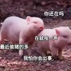  30个可爱gif黄夏温系列表情包想把自己卖掉,我很便宜的